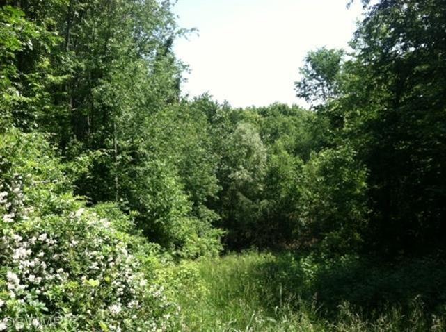 5575 Crooked Hoof Trail unit LOT 3, Middleville, MI 49333 - photo 1
