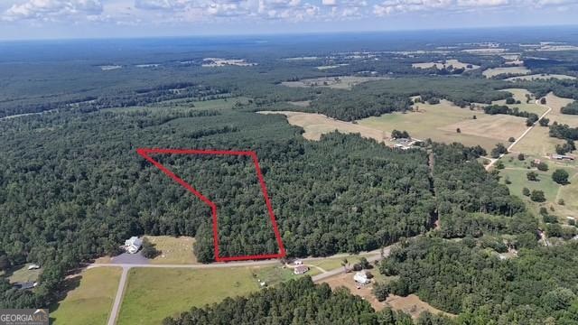 195 Bunch Rd, Tignall, GA 30668 - photo 1
