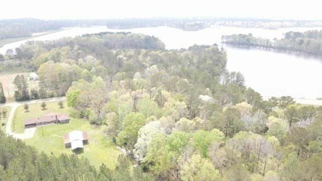 Main View