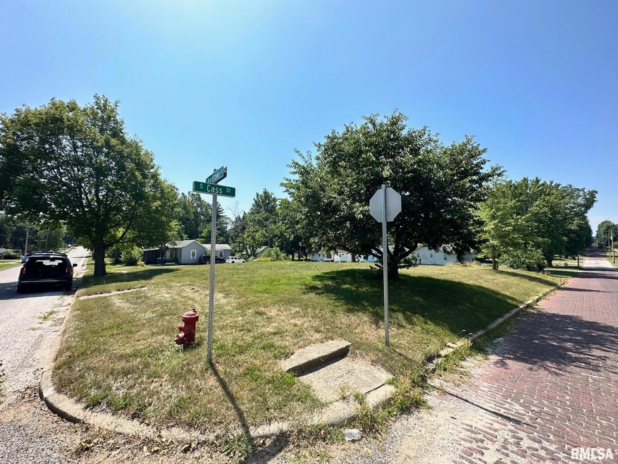 300 W Beardstown St, Virginia, IL 62691 - photo 1