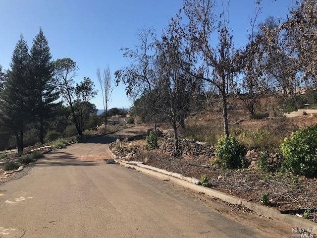DRIVEWAY TO LOT