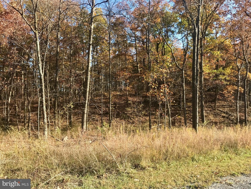 LOT 19 Cressida Dr, Valley, WV 25427 - photo 1
