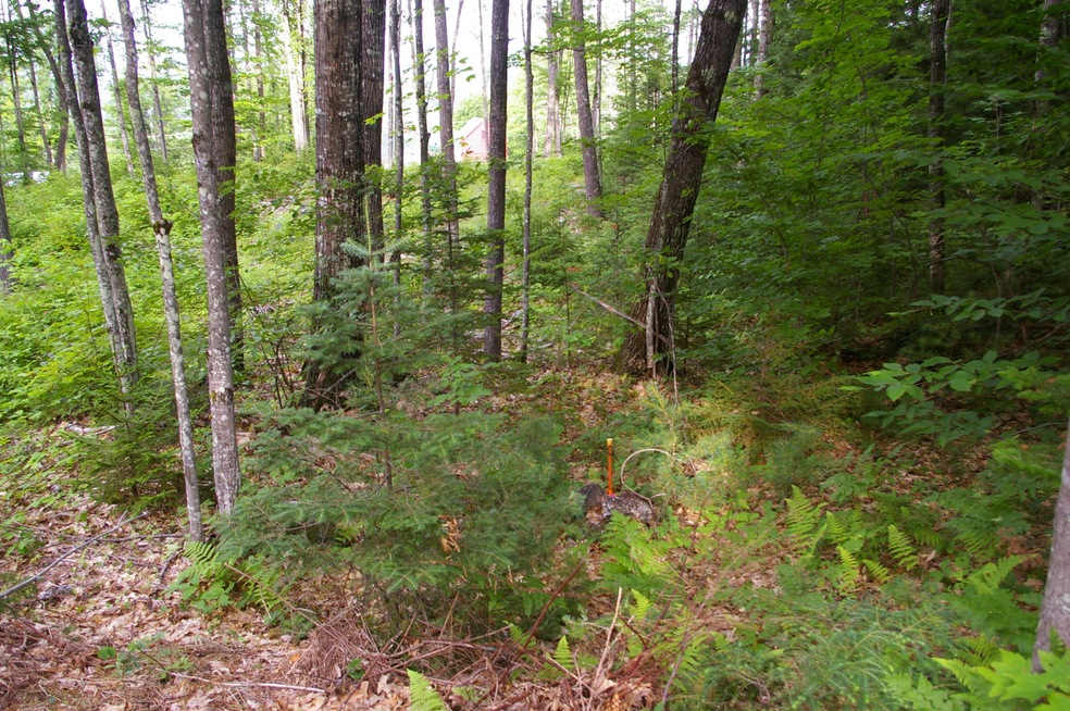 Lot#1 Fernald Hills Way Rd, Stow, ME 04037 - photo 1