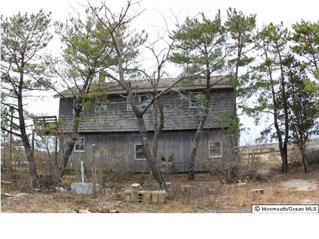 Primary Photo