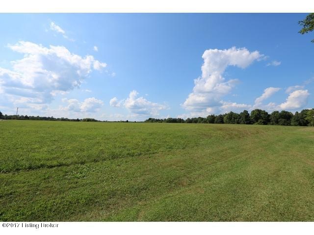 Auction Property