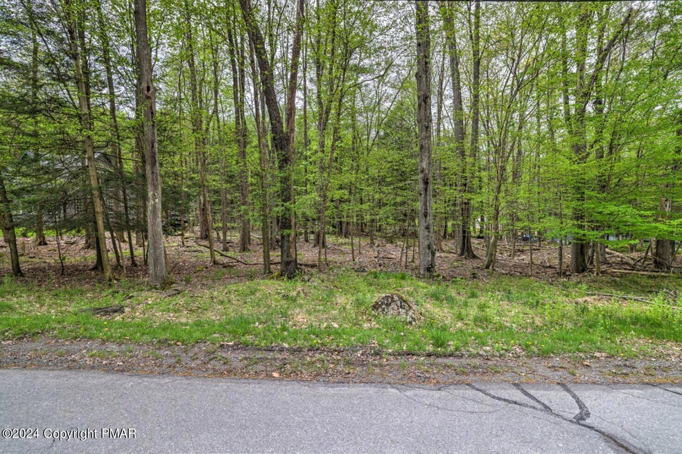 0 Owassa Dr unit PM-115133, Pocono Lake, PA 18347 - photo 1