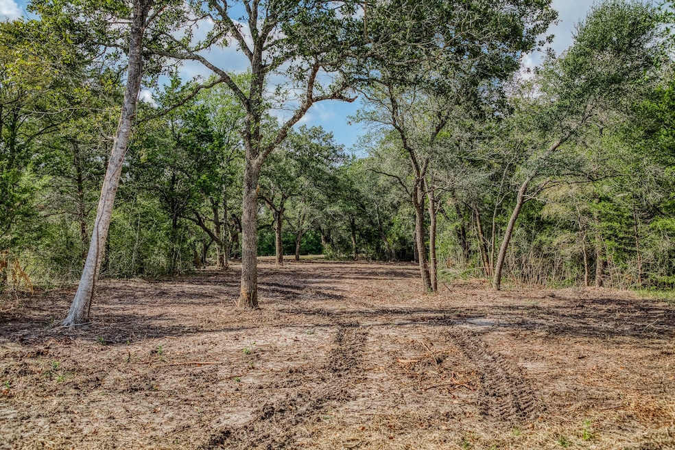 Tract 5 Sun Oil Rd, Brenham, TX 77833 - photo 1