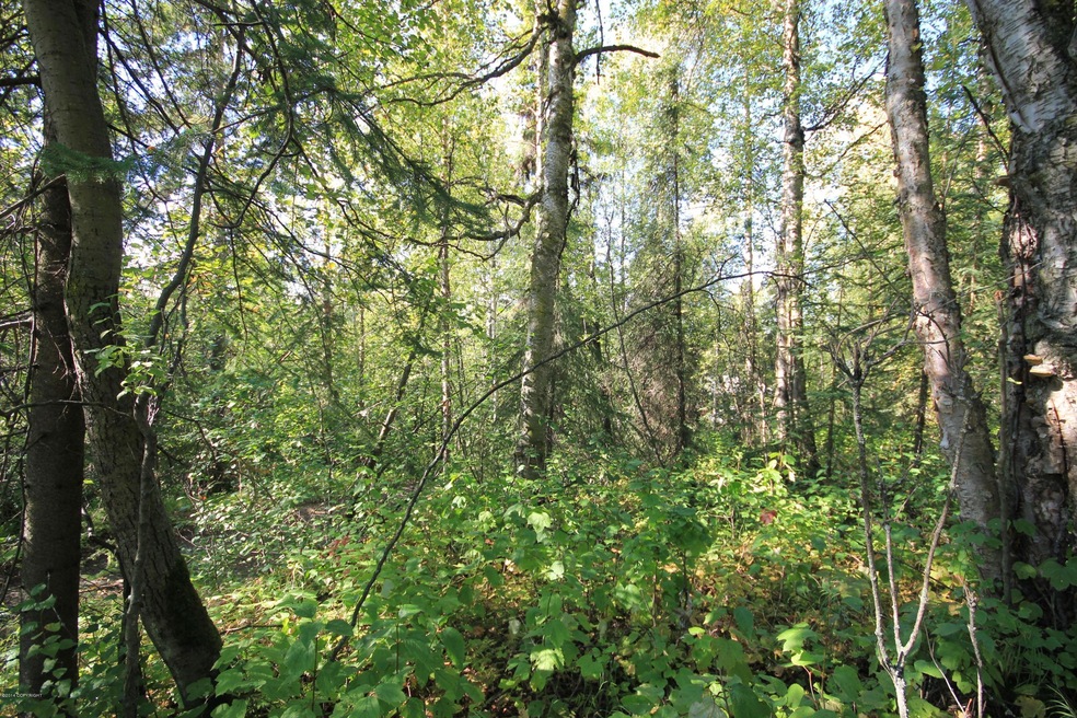 5939 E 38th Ct, Anchorage, AK 99504 - photo 1