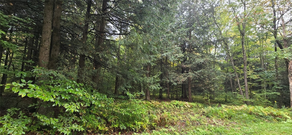 0 Sprague Rd unit 333093, Afton, NY 13730 - photo 1