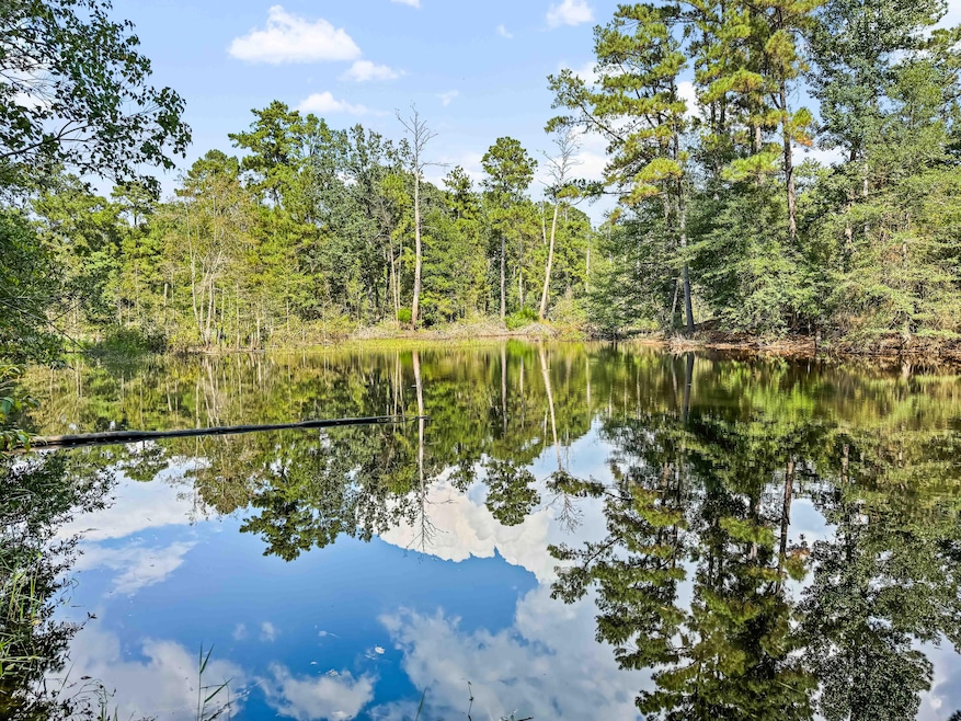 0000 County Road 4926, Fred, TX 77616 - photo 1