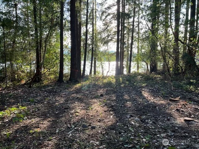 Lot overlooking the Clearwater Lake