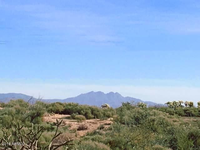 Mountain View_2