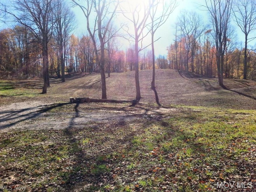 0 Henrie Ln unit M239703, Williamstown, WV 26187 - photo 1