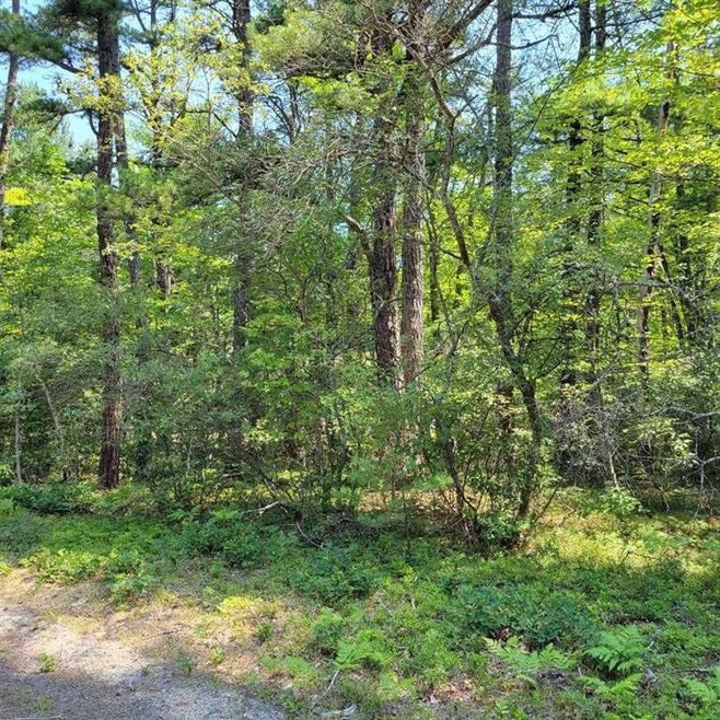 0 York Ln unit 25 4873957, Freedom, NH 03836 - photo 1