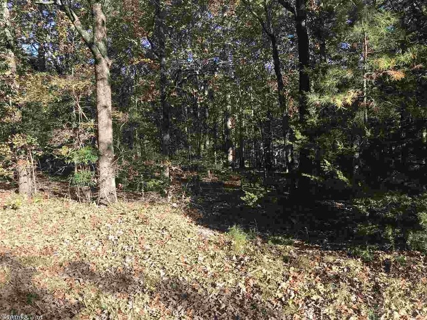 000 Bayview Heights, Heber Springs, AR 72543 - photo 1