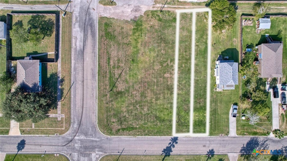 Ariel View