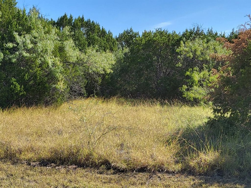 36046 Cedar Ridge Dr, Whitney, TX 76692 - photo 1