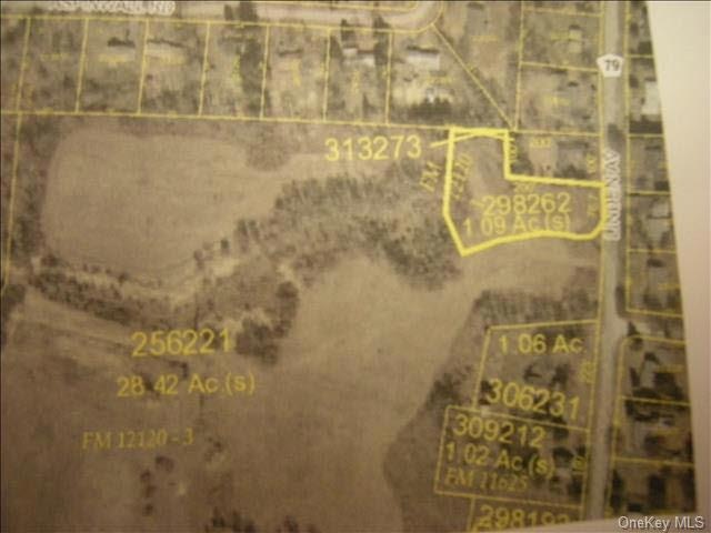 0 Linden Ave unit ONEHM341822, Red Hook, NY 12571 - photo 1