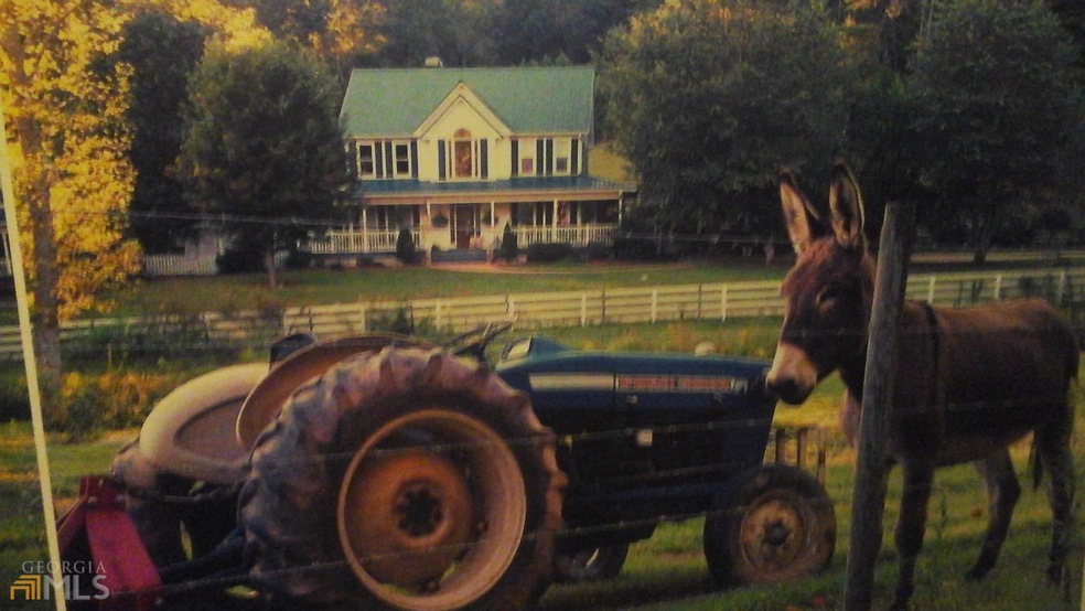 Carousel Image