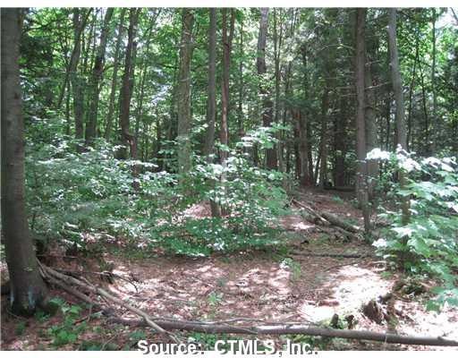 0 West Rd unit L139224, Winsted, CT 06098 - photo 1