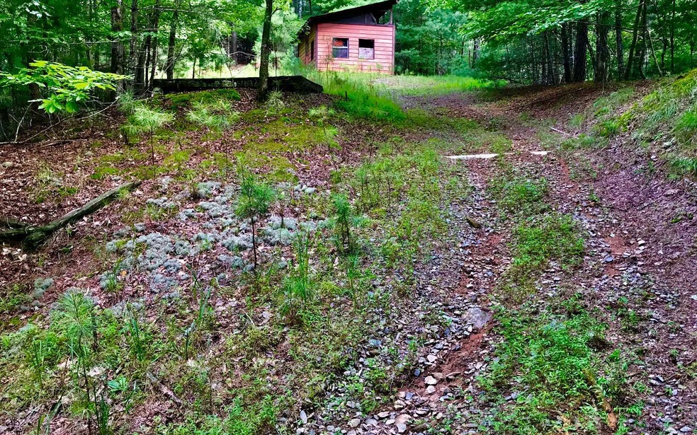 Main View