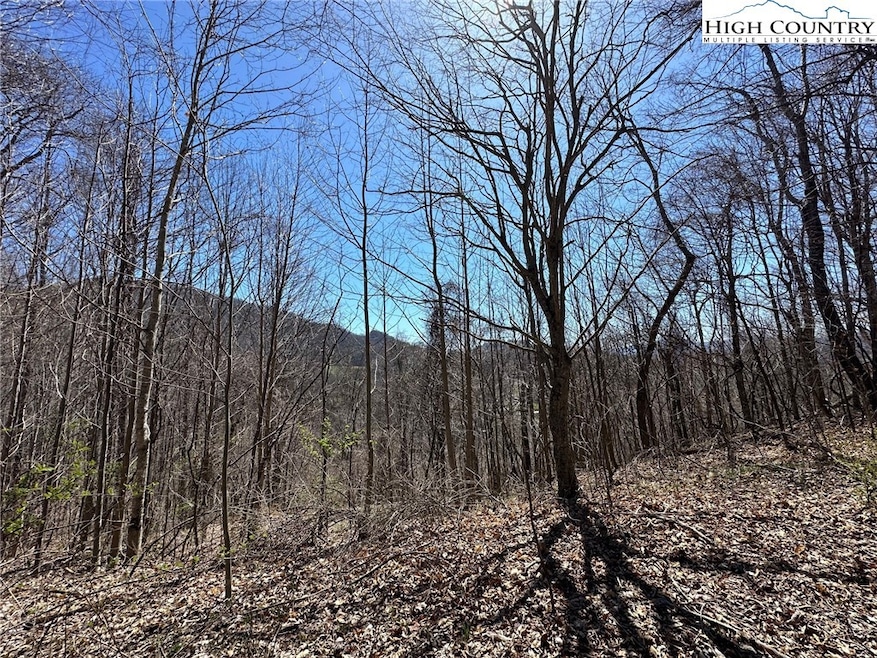 For Sale $55,000 • Co-Listing Agent