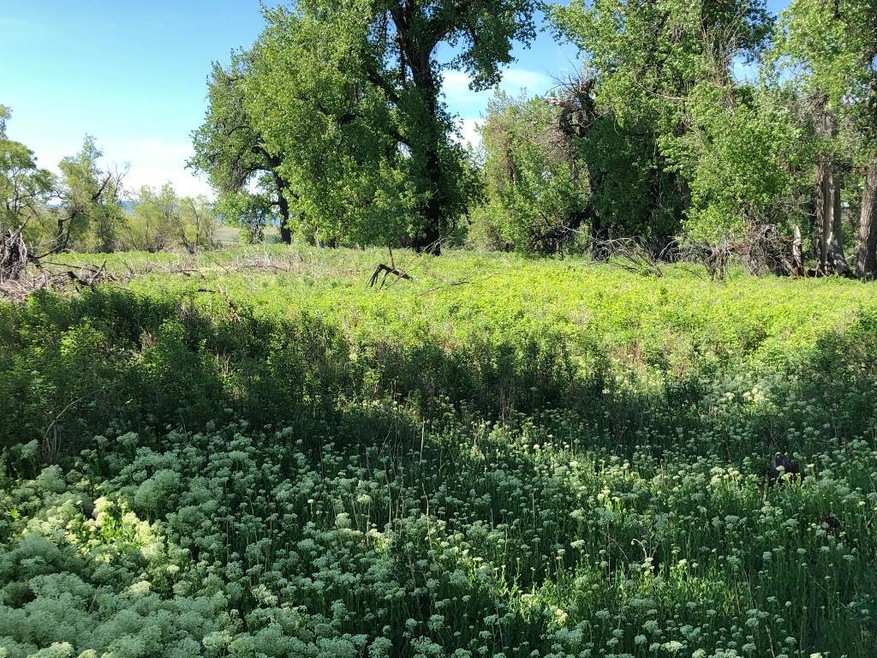 Sold • Co-Listing Agent