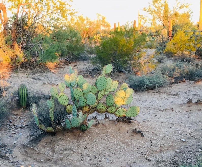 000 E Burro Ln unit 4&5, Florence, AZ 85132 - photo 1