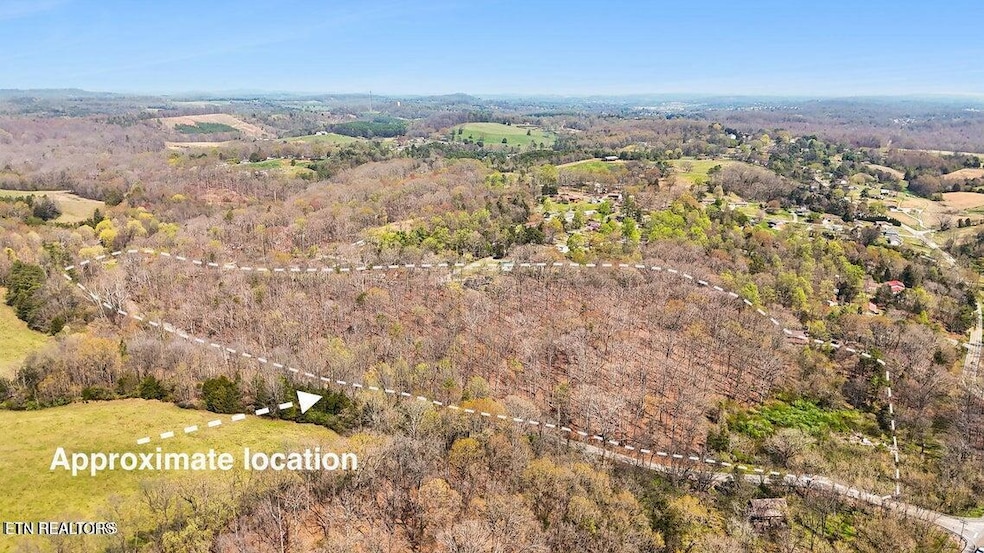 1300 Old Sugar Limb Rd, Loudon, TN 37774 - photo 1