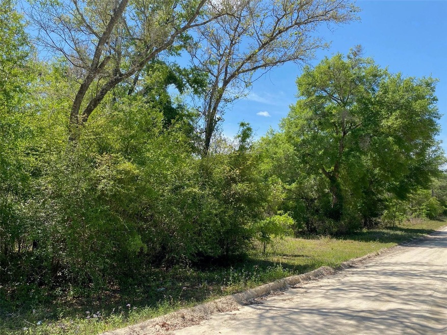 TBD NE 9th St, Williston, FL 32696 MLS MFRGC520762