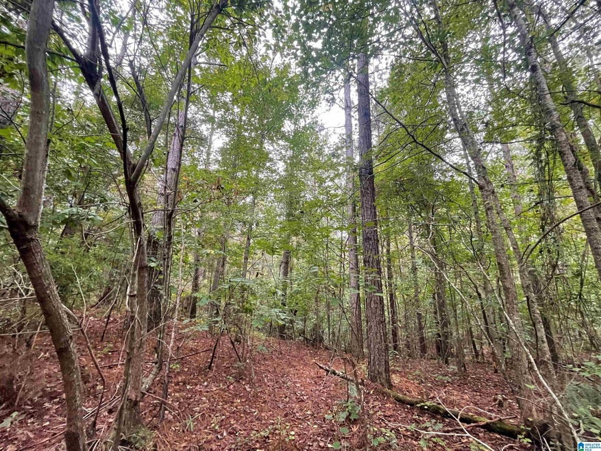 0 County Road 15 Unit 80 Ac 21365495, Wadley, AL 36276 MLS 21365495