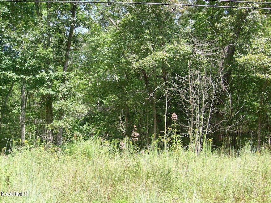 Front of lot