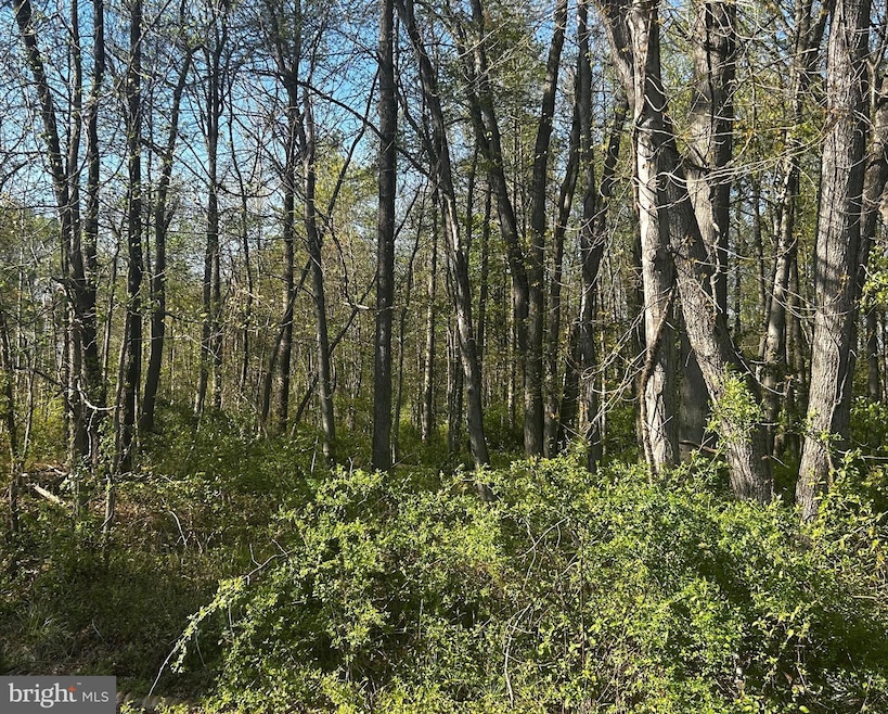 0 Edgewater Ave, North East, MD 21901 - photo 1