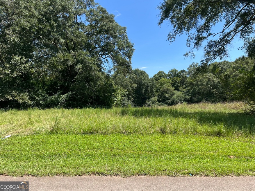 0 Carter St unit 10592677, Greenville, GA 30222 - photo 1