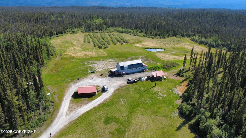 Mile 11.1 Edgerton Hwy, Copper Center, AK 99573 - photo 1