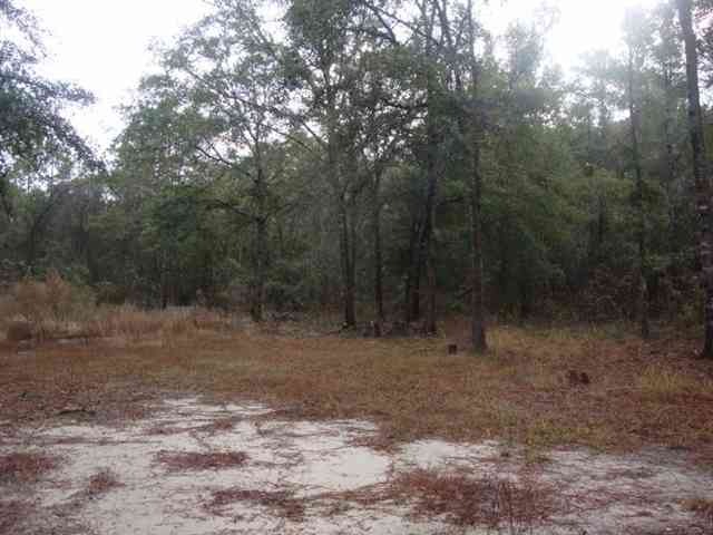 0 Sommer Rd unit 2, Crawfordville, FL 32327 - photo 1