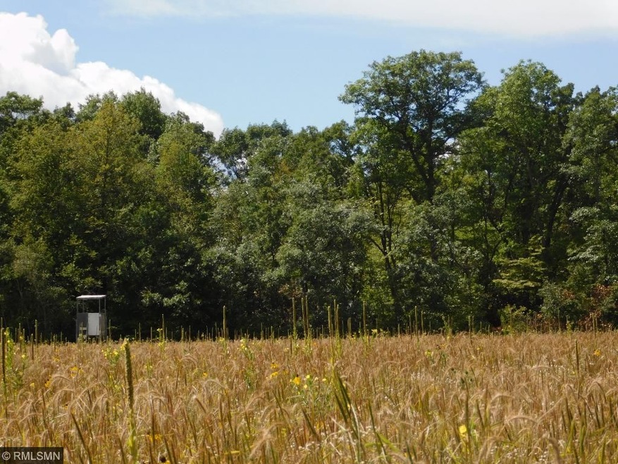 Beautiful Todd County acreage.  This is a rare opp