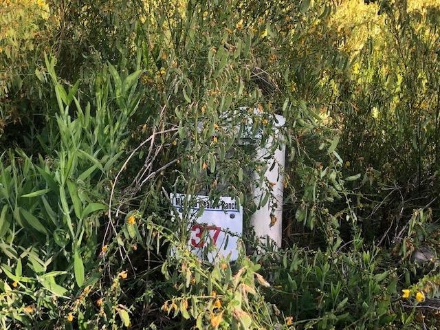 37 Panther Meadow Dr, McCloud, CA 96057 - photo 1