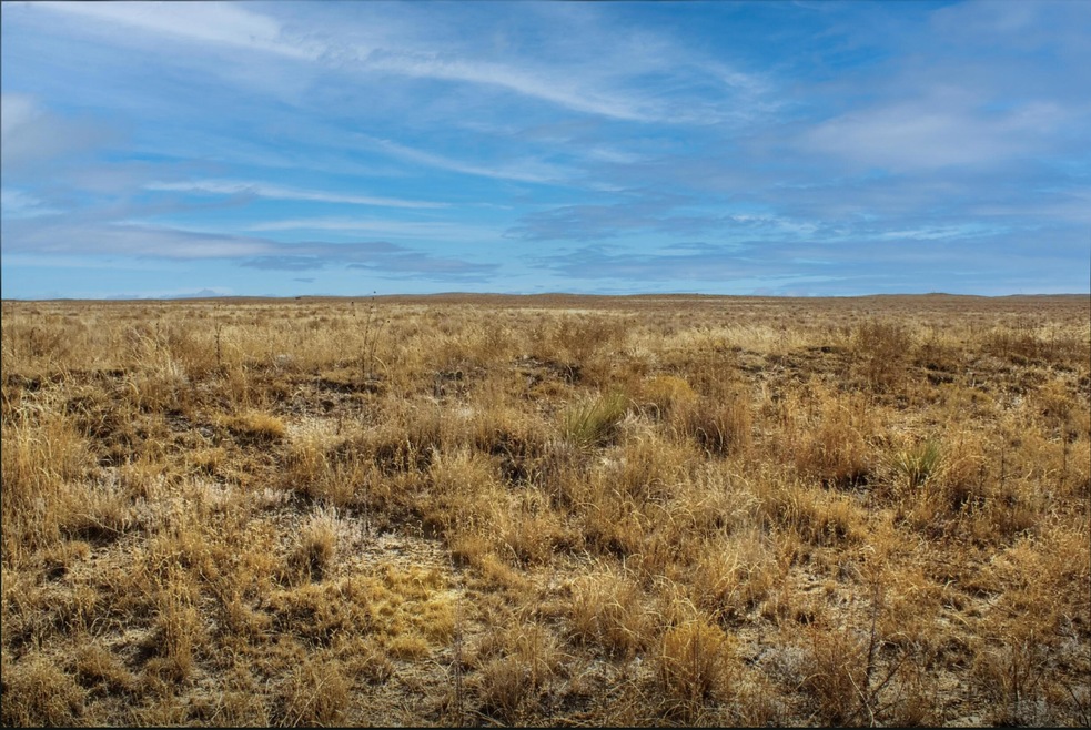 Land Pic