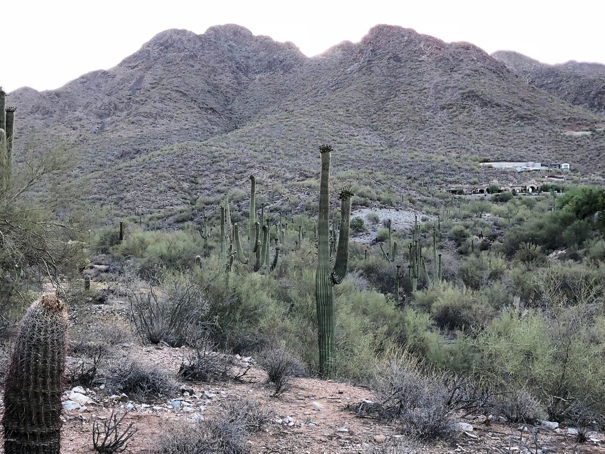 Panoramic Mountain Views
