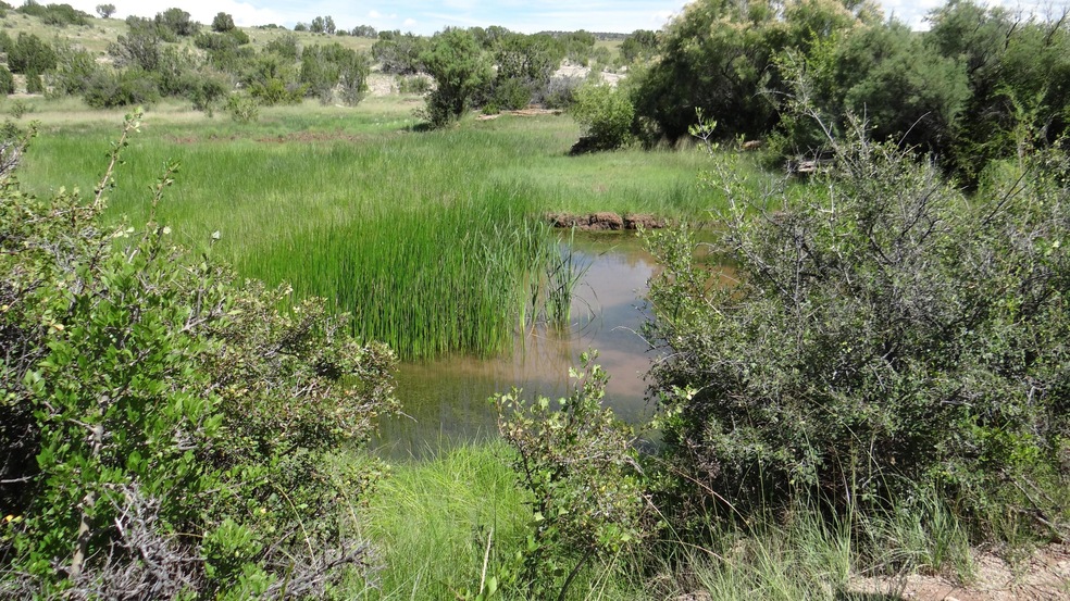 St.Johns lot 99 pond