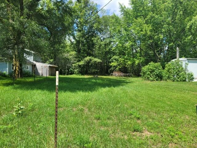 531 W Pettibone Dr, Bitely, MI 49309 - photo 1