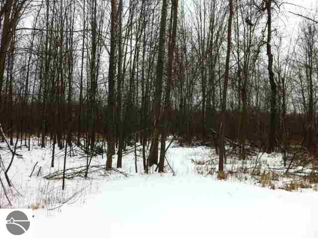 1456 S Swenson Rd, Au Gres, MI 48703 - photo 1