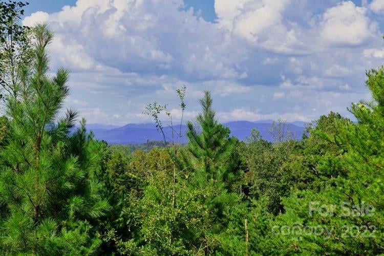 0 Talia Dr unit 4 CAR3897801, Rutherfordton, NC 28139 - photo 1