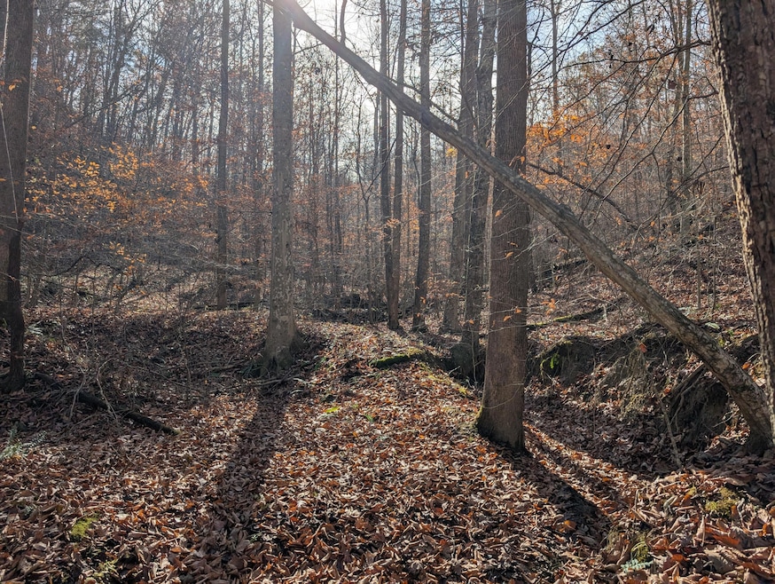 PXL_20241108_182636006