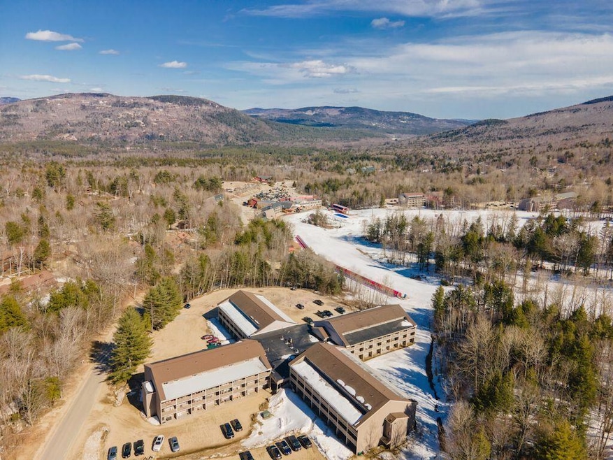 8 Fall Line Dr unit W216, Newry, ME 04261 - photo 1