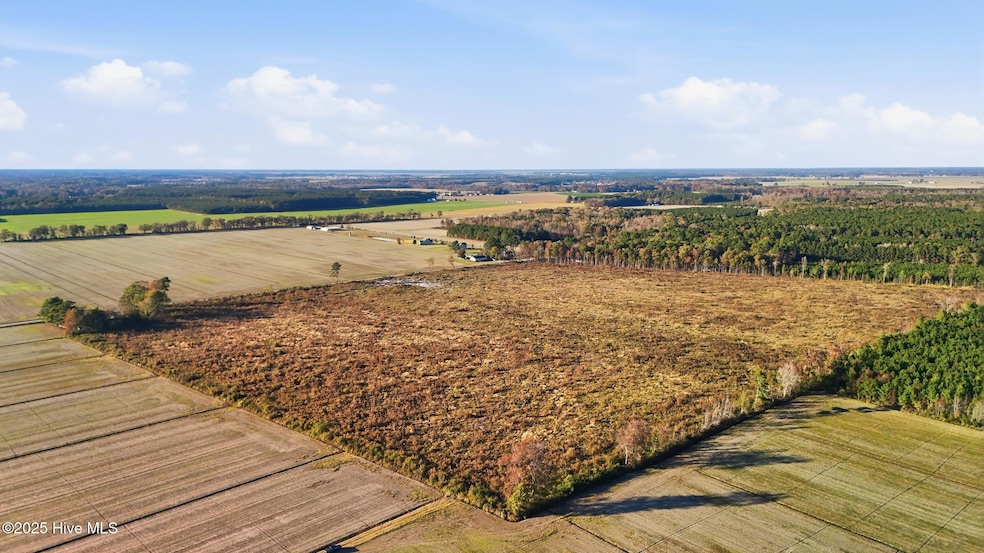 00000 Gum Bridge Rd, Elizabeth City, NC 27909 - photo 1