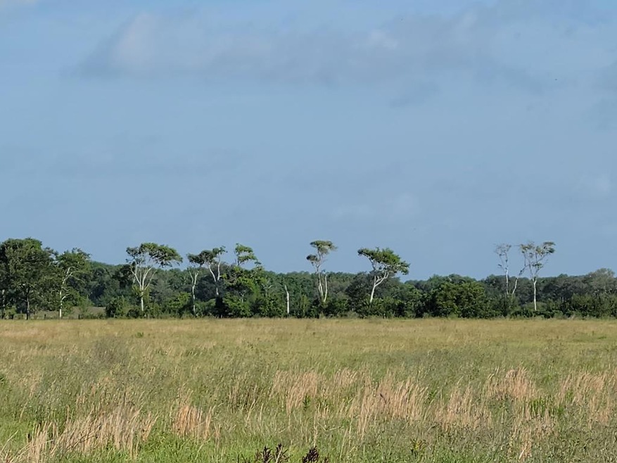 0 Cole Rd unit 776126, Bay City, TX 77414 - photo 1