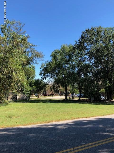 Site View
