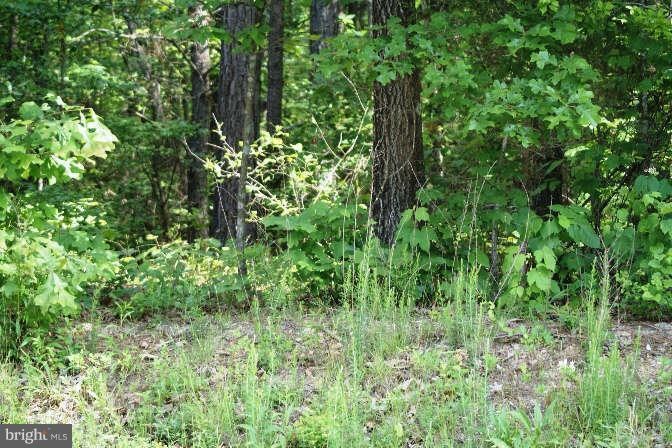 6529 Lawyers Rd, Spotsylvania, VA 22551 - photo 1